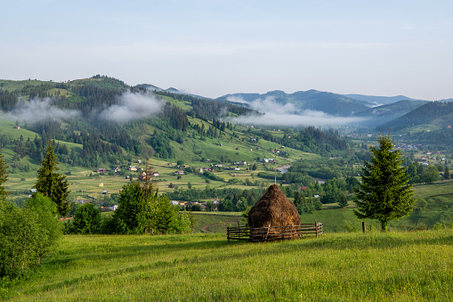 Misty summer morning landscape over Bucovina village. Green fild meadows covered in mist with fir forest mountains in background and a haystack in foreground