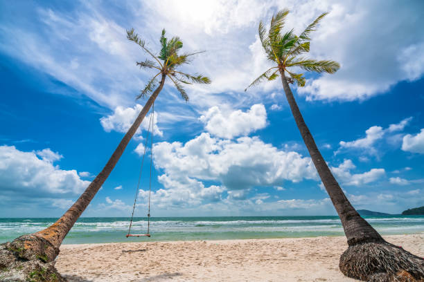istock Seascape with tropical palms on beautiful Sao sandy beach 1306603160
