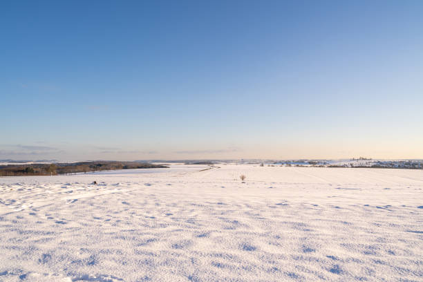 istock Snowy landscape january 1306603901