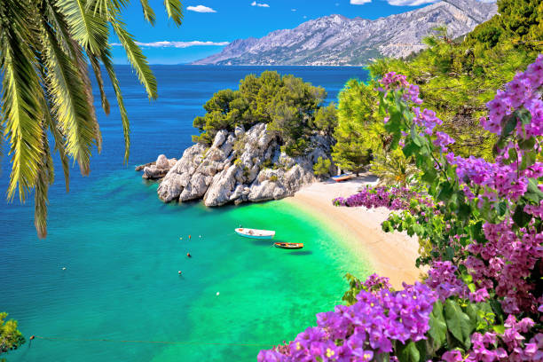 idyllic beach punta rata in brela aerial view - adriatic sea sea architecture bay imagens e fotografias de stock