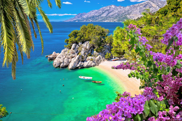 идиллический пляж пунта-рата в брела вид с воздуха - croatia стоковые фото и изображения