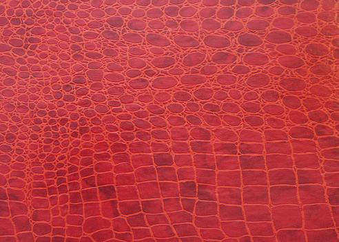 Closeup of faux crocodile skin.