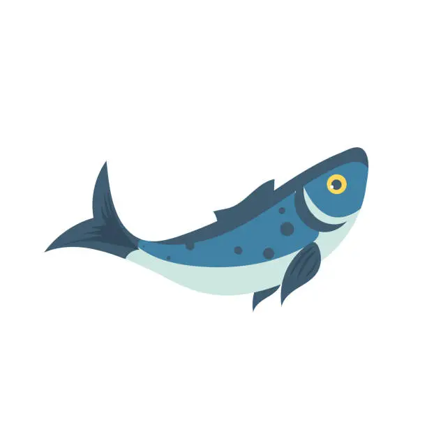 Vector illustration of Vector illustration of a fish. Fish isolated on a white background.