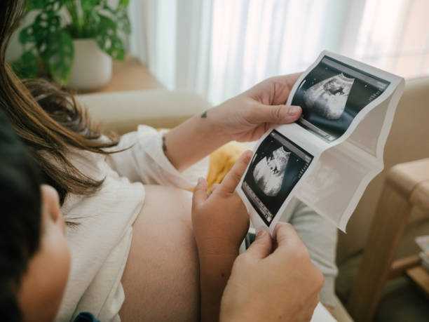 Pregnant mother and child. Pregnant woman with her son excited and talking about baby new life will birth soon in living room at home. fetus photos stock pictures, royalty-free photos & images