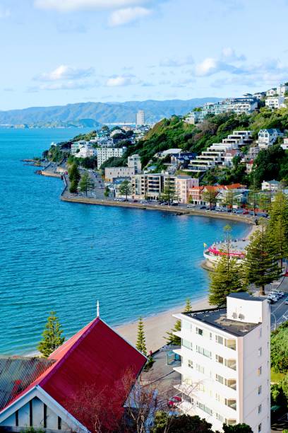 istock Wellington New Zealand 1306616341