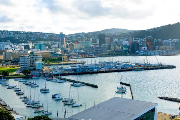 istock Wellington New Zealand 1306616352