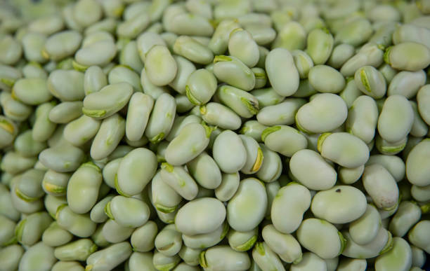 istock Vegetables in Yunnan, China 1306619851