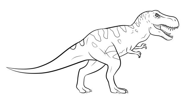 Illustration of tyrannosaurus rex, black and white silhouette. A contour drawing of dinosaur - tyrannosaurus rex - in form of coloring page dinosaur drawing stock illustrations