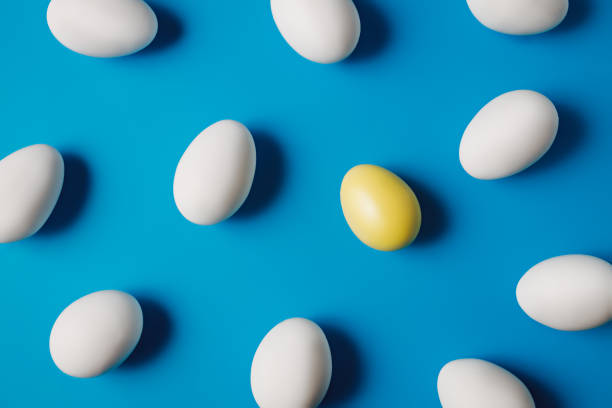 istock One yellow egg among white eggs on vibrant blue background 1306622466