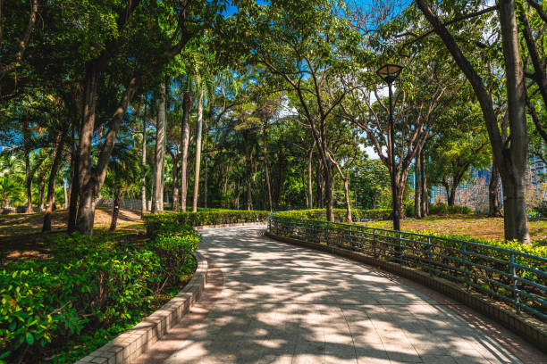 istock Path in public park in Hong Kong city 1306623097