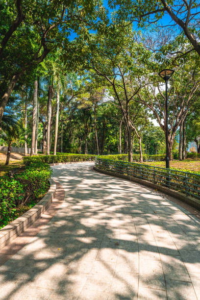 istock Path in public park in Hong Kong city 1306623109