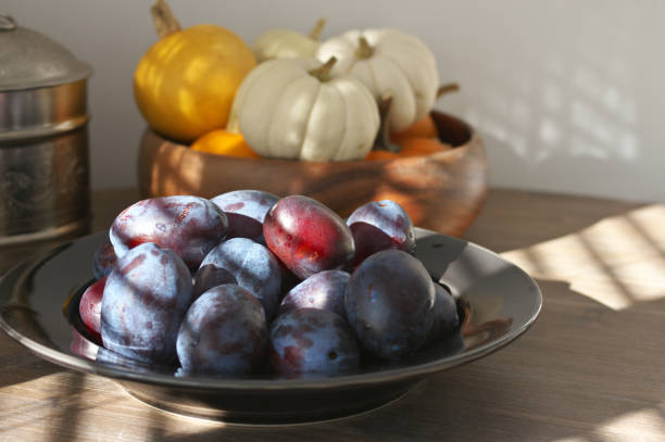 Fresh blue plums in black plate and mini pumpkins in sunlight with shadows of shutters on wood table.