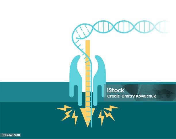 Dna Passing Through Nanopore Channel Stock Illustration - Download Image Now - Bias, DNA, Food