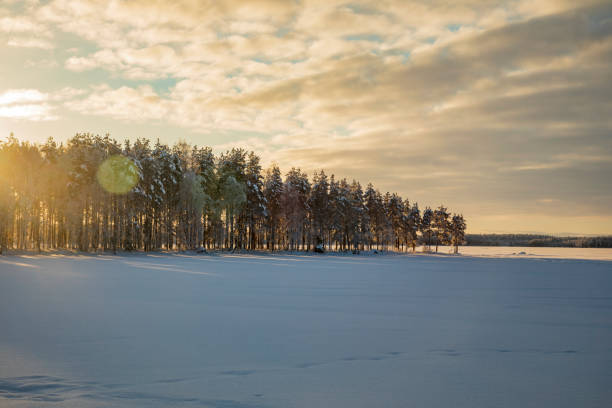 istock Winter landscape with snow-covered trees. Winter forest. 1306628174