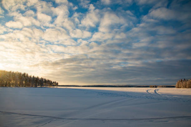 istock Winter landscape with snow-covered trees. Winter forest. 1306628196