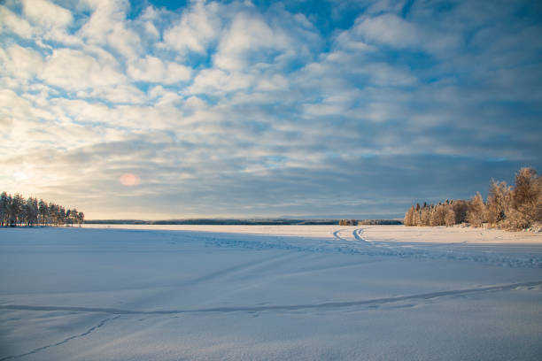 istock Winter landscape with snow-covered trees. Winter forest. 1306628284