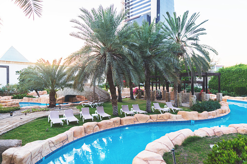 private outdoor swimming pool, palm trees in background