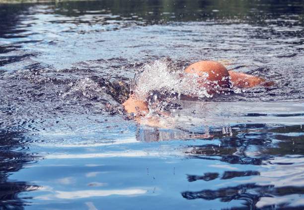 istock Freestyle swimmer on the lake 1306632559