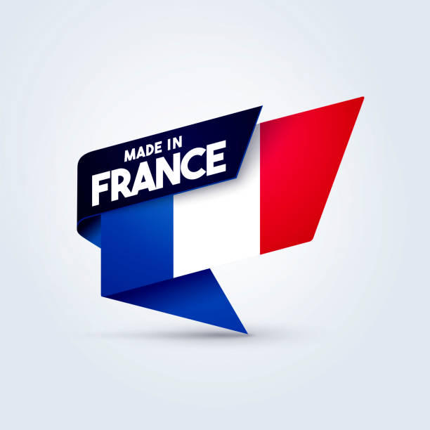 ilustracja wektorowa wykonana we francji flaga pin - first nations stock illustrations