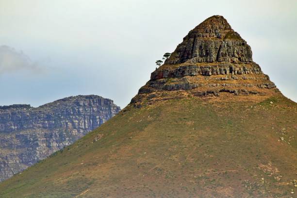 istock Cape Town South Africa 1306632654