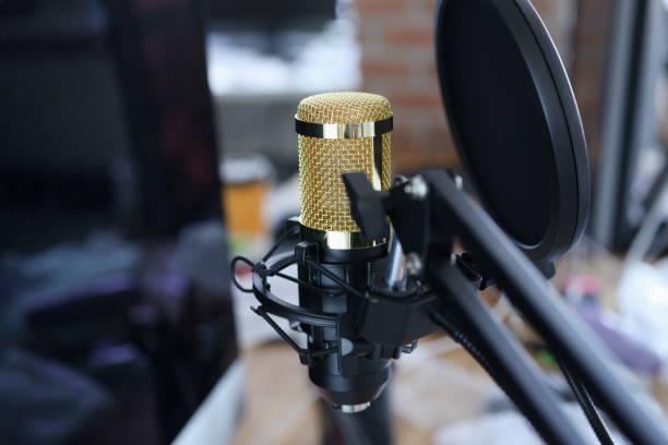 istock Studio microphone for recording, karaoke, streaming and blogging 1306633996