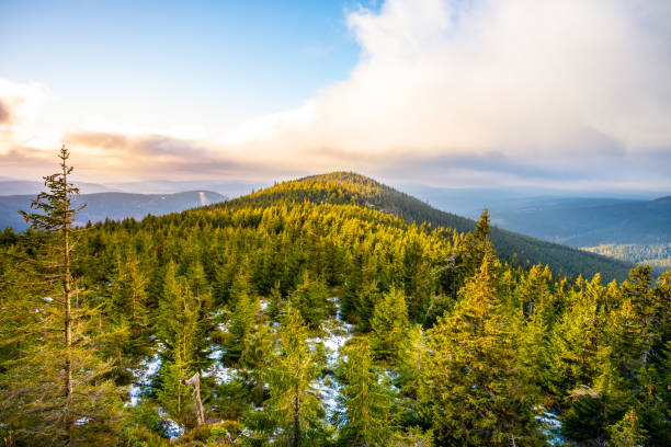 Woody ridge of Giant Mountains Woody landscape of Giant Mountains, Czech: Krkonose, Czech Republic. Plesivec Mountain in early winter time evening. karkonosze mountain range photos stock pictures, royalty-free photos & images