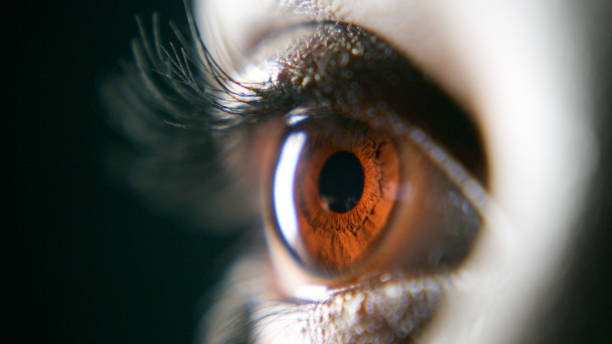 istock To know who I am, look into my eyes 1306640755