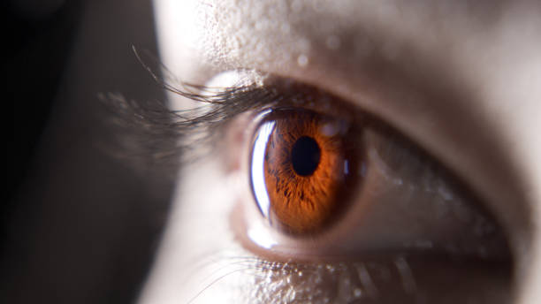 istock Keep your eyes peeled for possibility 1306640770