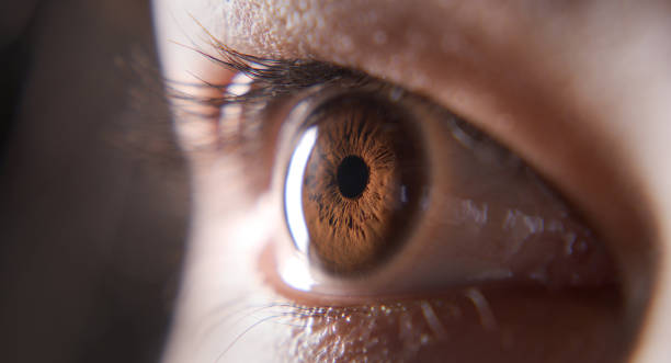 istock The wider our eyes the more we realise 1306640805