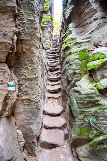 Narrow staircase in sandstone gorge