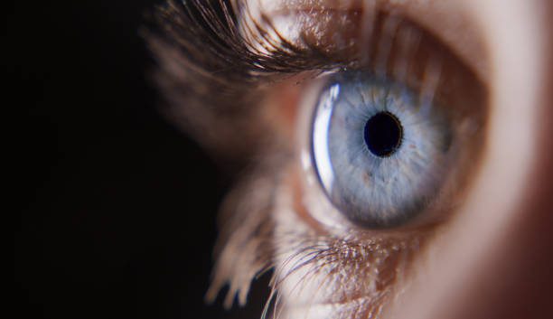 istock A beautiful soul is seen in the eyes 1306641765