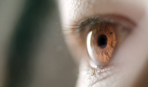 istock Life is so much more than what we see 1306641767