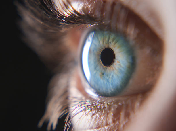 istock Her eyes sparkle in a way a diamond never could 1306641768