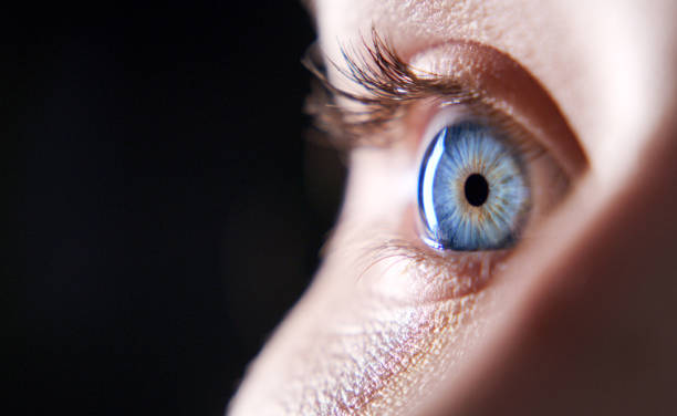 istock The universal language of the eyes 1306641776