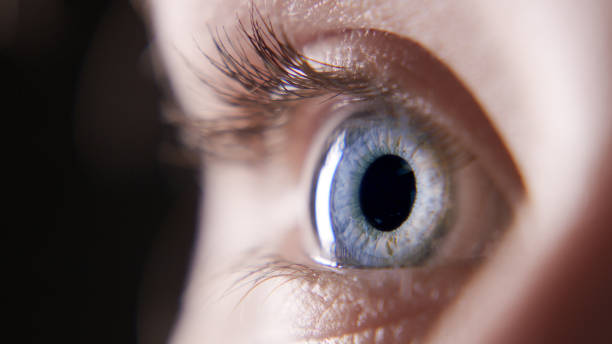 istock Beautiful eyes that tell a beautiful story 1306641784
