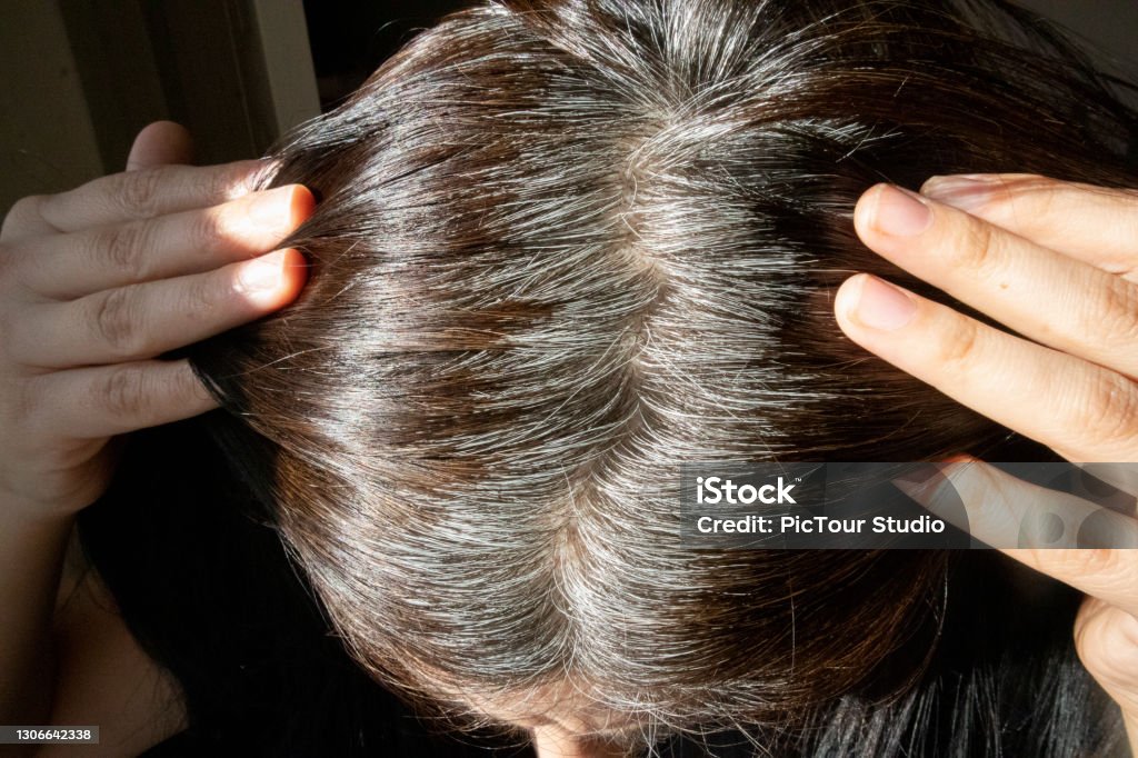 Young woman shows her gray hair roots Hair care, Grey hair, Emotional stress, White hair, Close-up White Hair Stock Photo