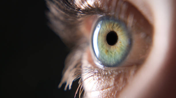 istock Eyes say what the heart feels 1306644640
