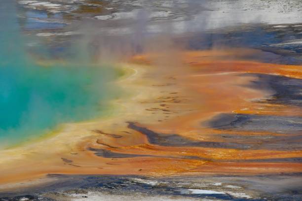 istock Geyser Basin's Grand Prismatic Spring Yellowstone National Park 1306645017