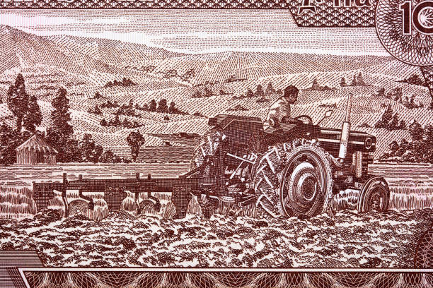 istock Farmer on a tractor from Ethiopian money 1306645951
