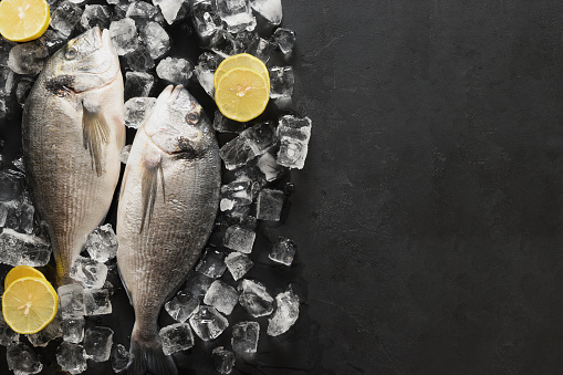 Two dorado fish with ice cube and slice of lemon on black slate background. Fish pattern. View from above. Space for text.