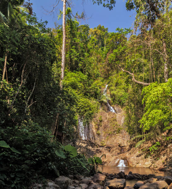istock Jungle forest.waterfall landscape nature river tropical 1306647584
