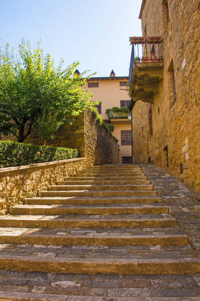 istock Street in San Quirico D'Orcia 1306649330