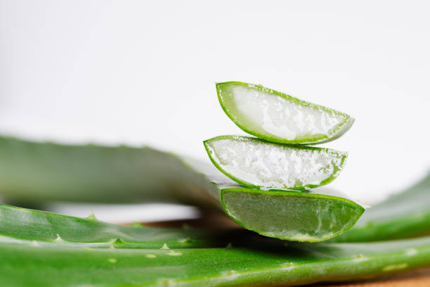 geschnittene grüne aloe vera pflanze mit wassertröpfchen - healthy lifestyle homeopathic medicine aloe plant stock-fotos und bilder