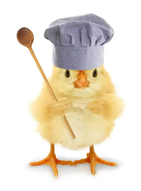 Photo of Cute cool chick chef cook with wooden cooking ladle funny conceptual image