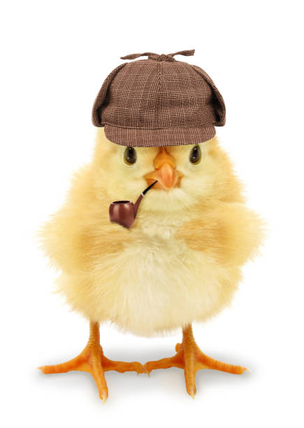 istock Chick detective with pipe isolated on white background conceptual photo 1306654540