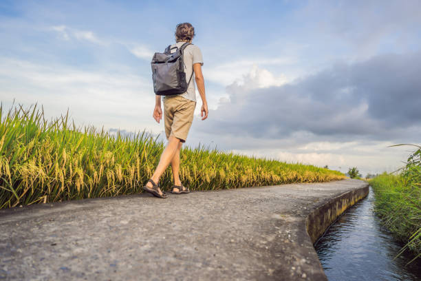 male tourist with a backpack goes on the rice field - bali male beautiful ethnicity imagens e fotografias de stock