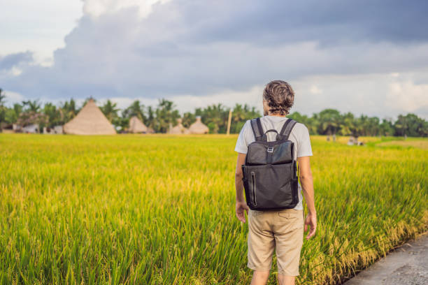 male tourist with a backpack goes on the rice field - bali male beautiful ethnicity imagens e fotografias de stock