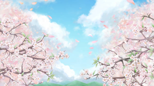 istock Hand-painted cherry blossoms, landscape illustrations of cherry blossoms, sky and clouds 1306655502