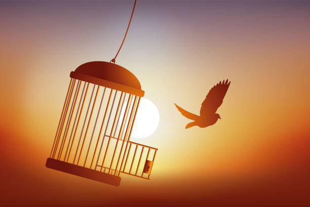 The freedom of a bird leaving its cage. Concept of freedom, with a bird that escapes from its cage and flies away in front of a sunset. releasing stock illustrations