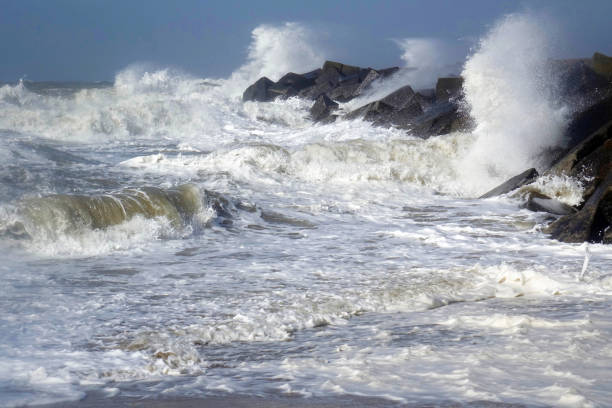 Windforse 30+ Windforce Stock Photos, Pictures & Royalty-Free Images - iStock